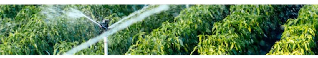 Visual of an irrigated field - SCO 2023